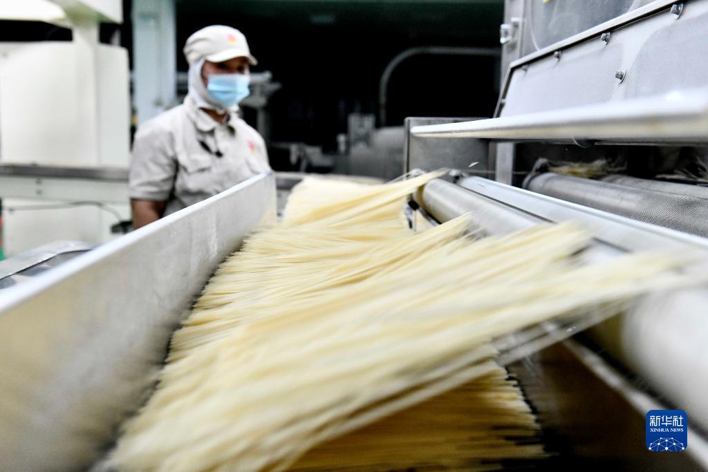 水果狂欢九线机可提现